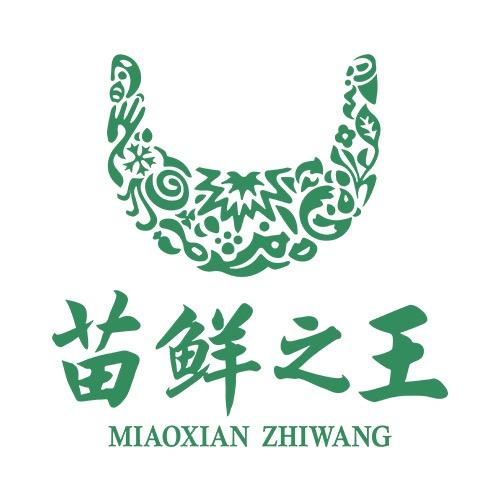 苗鲜之王洗护清洁旗舰店