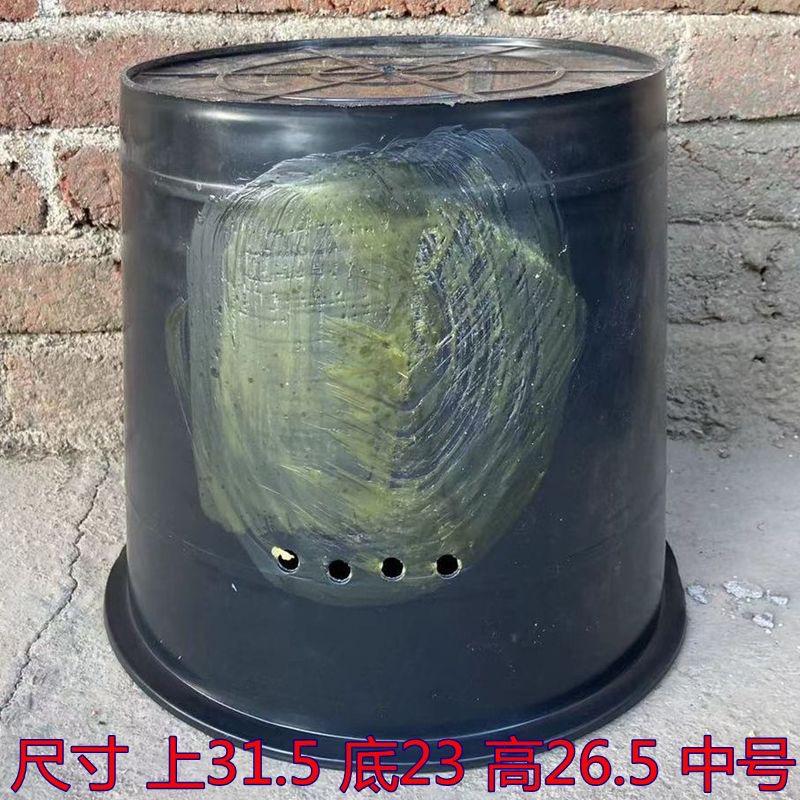 小文诱蜂找蜂