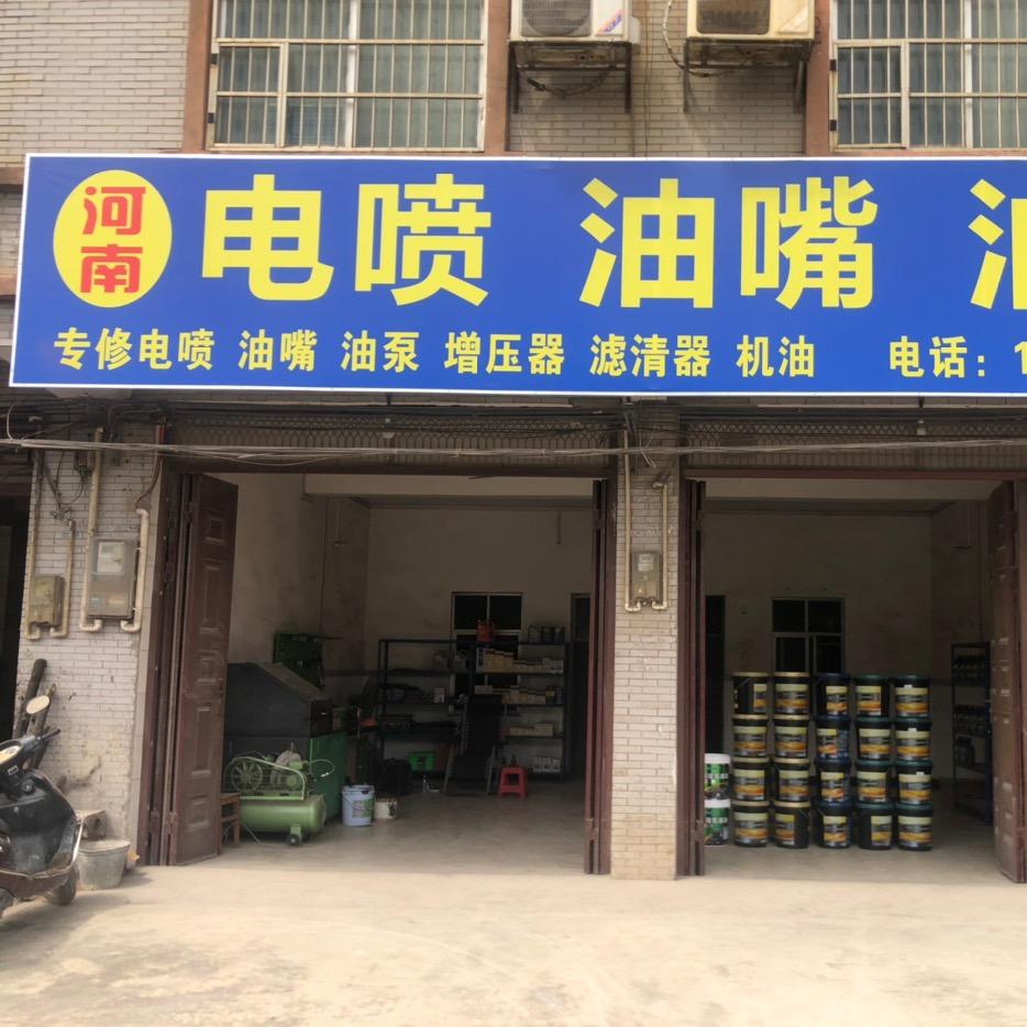 🌞河南电喷油嘴油泵