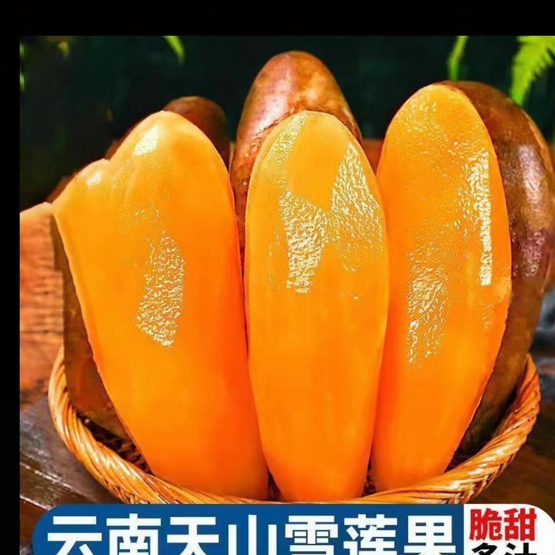 泰恒雪莲果