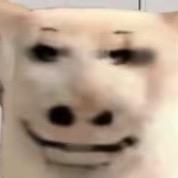 卧艹