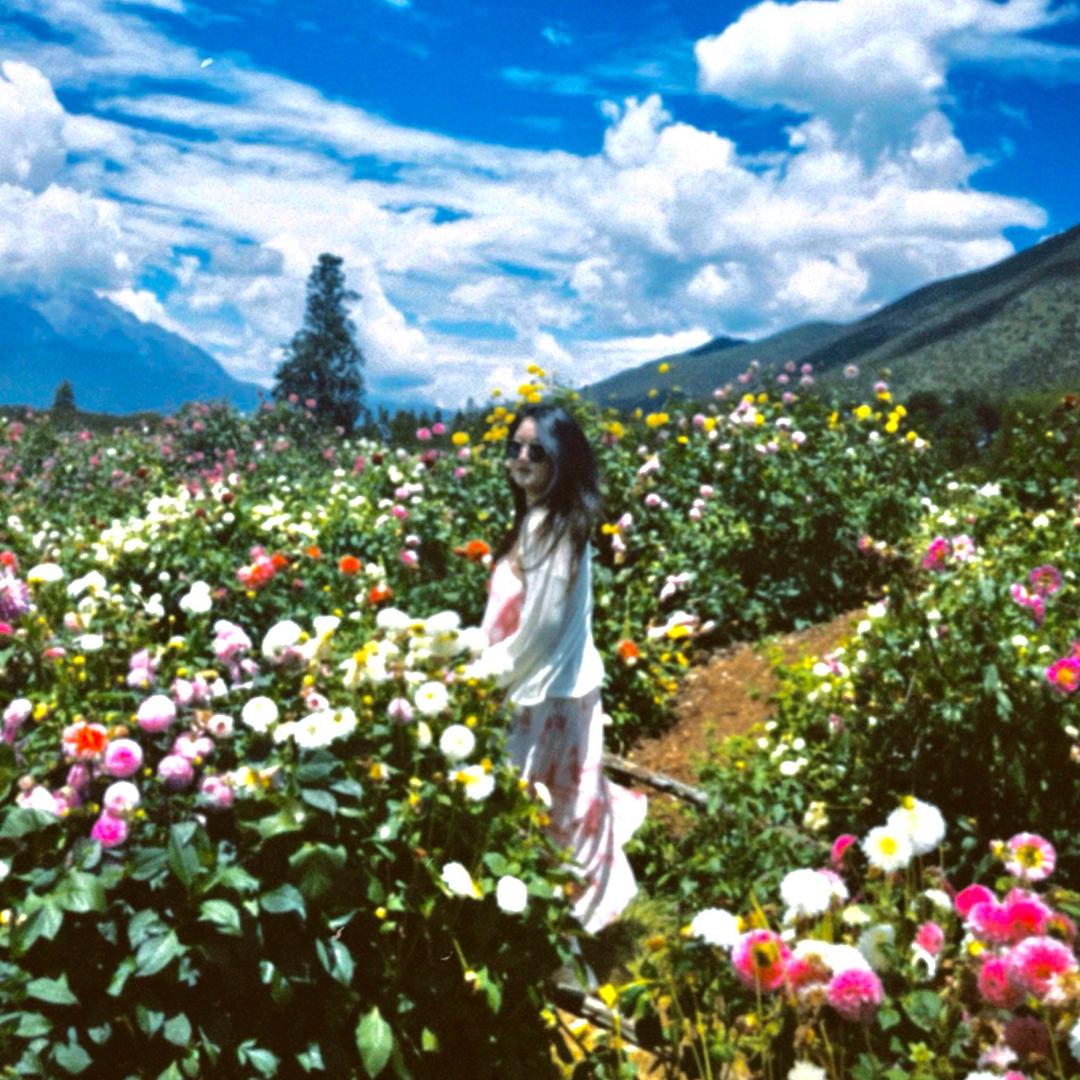 一朵☁️