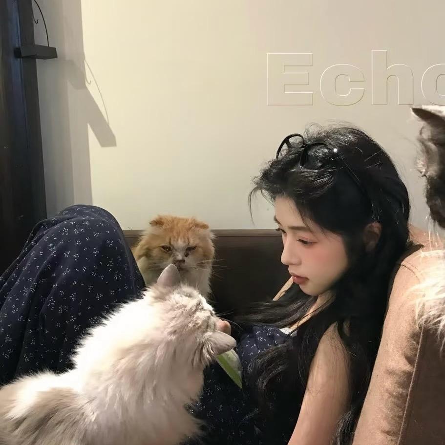 小李