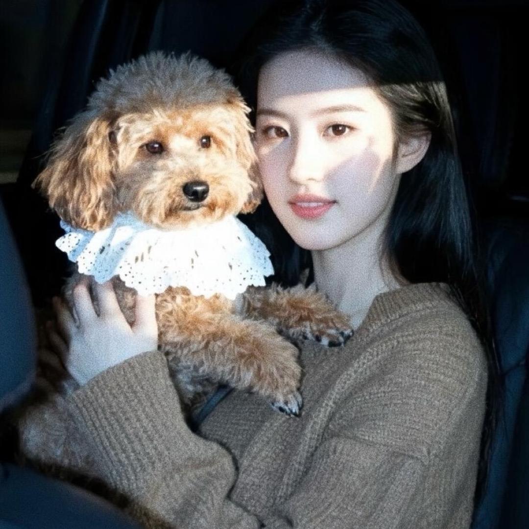 知之百货店🔥-同款在橱窗