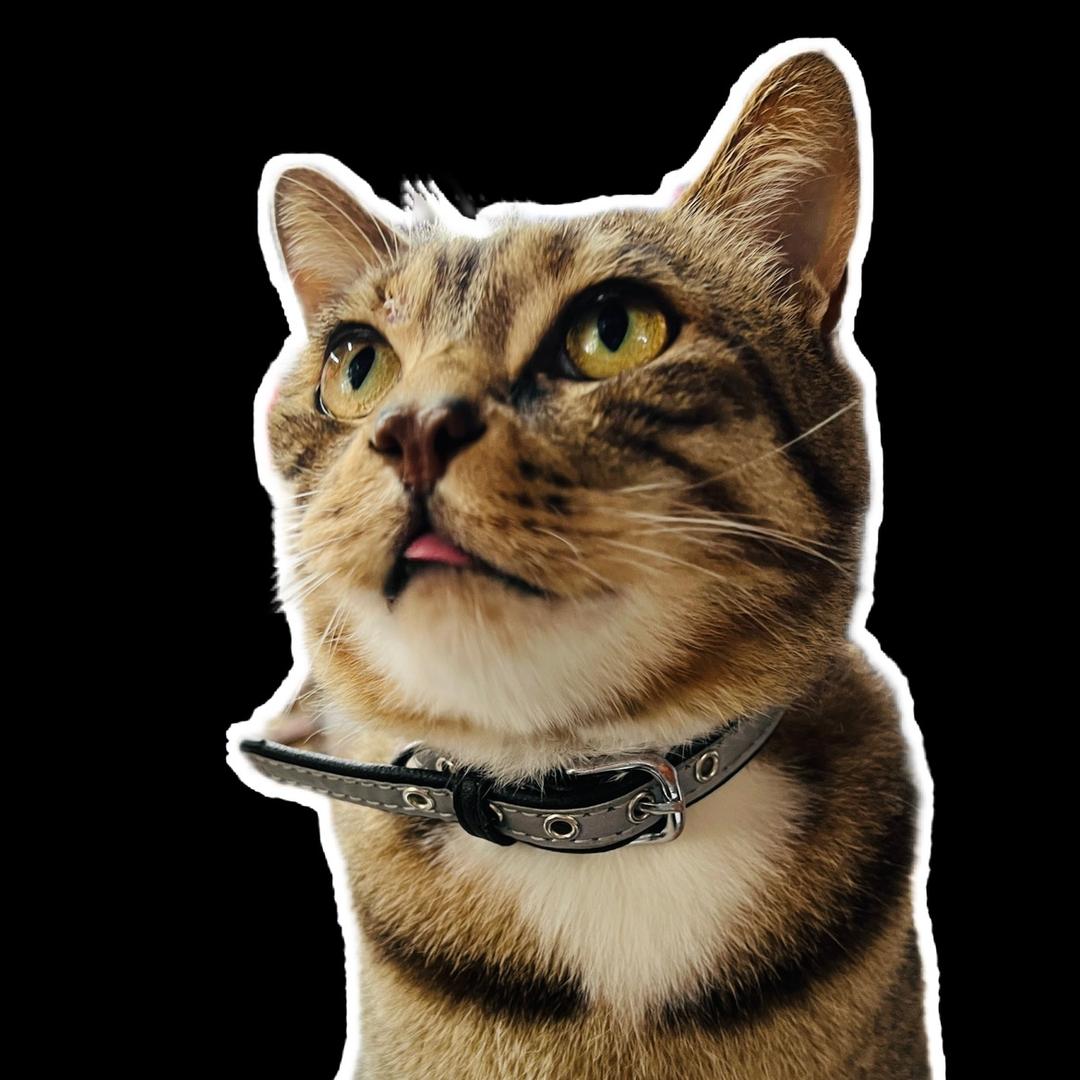 🌈今天也要开心吖.