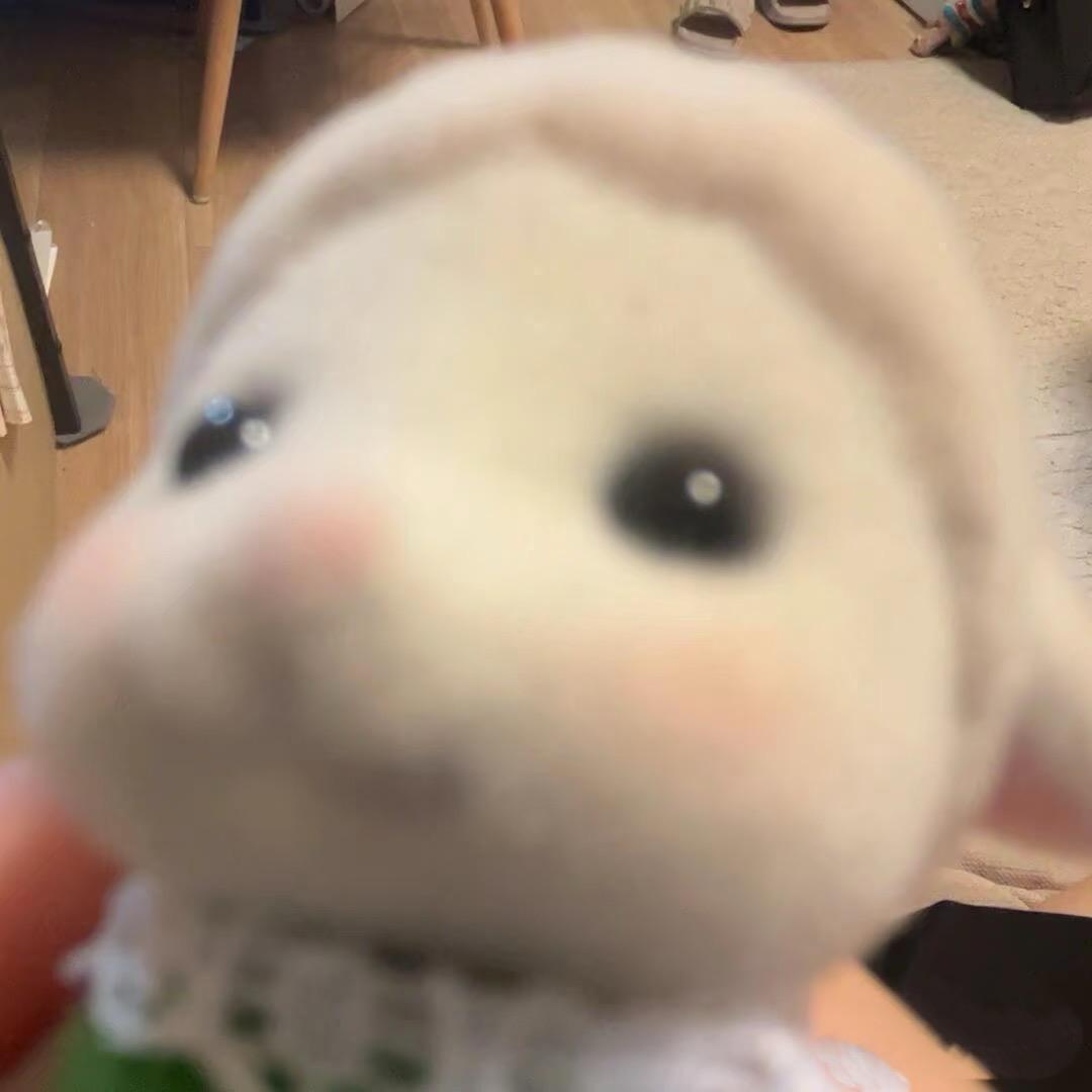 内向小学生