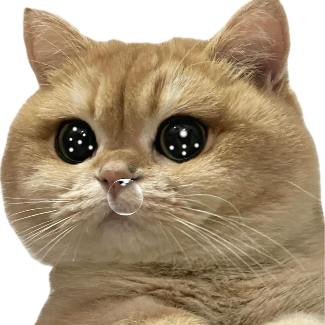 发达会忘本的硕硕子