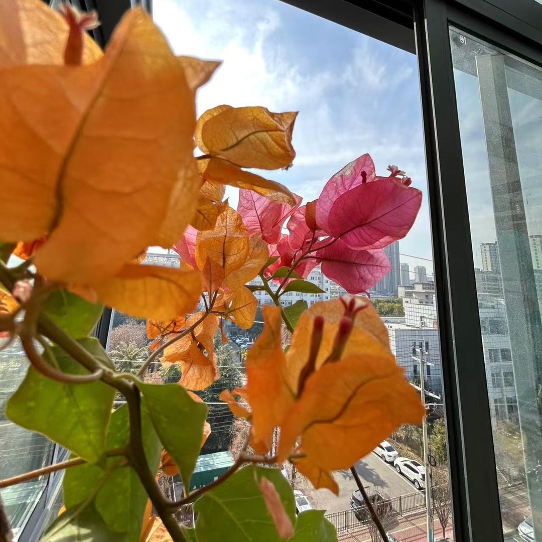 小满的花园
