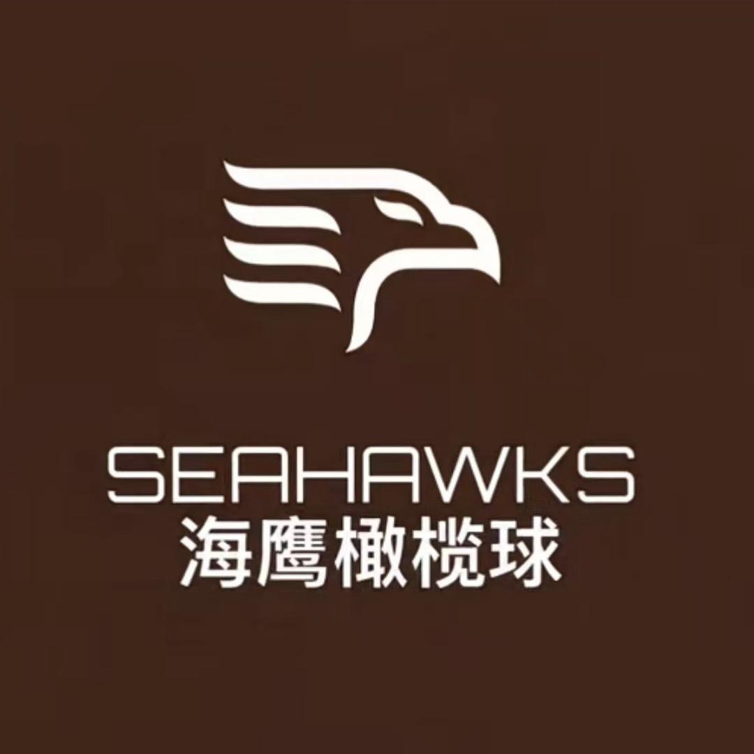 广州海鹰橄榄球🏈