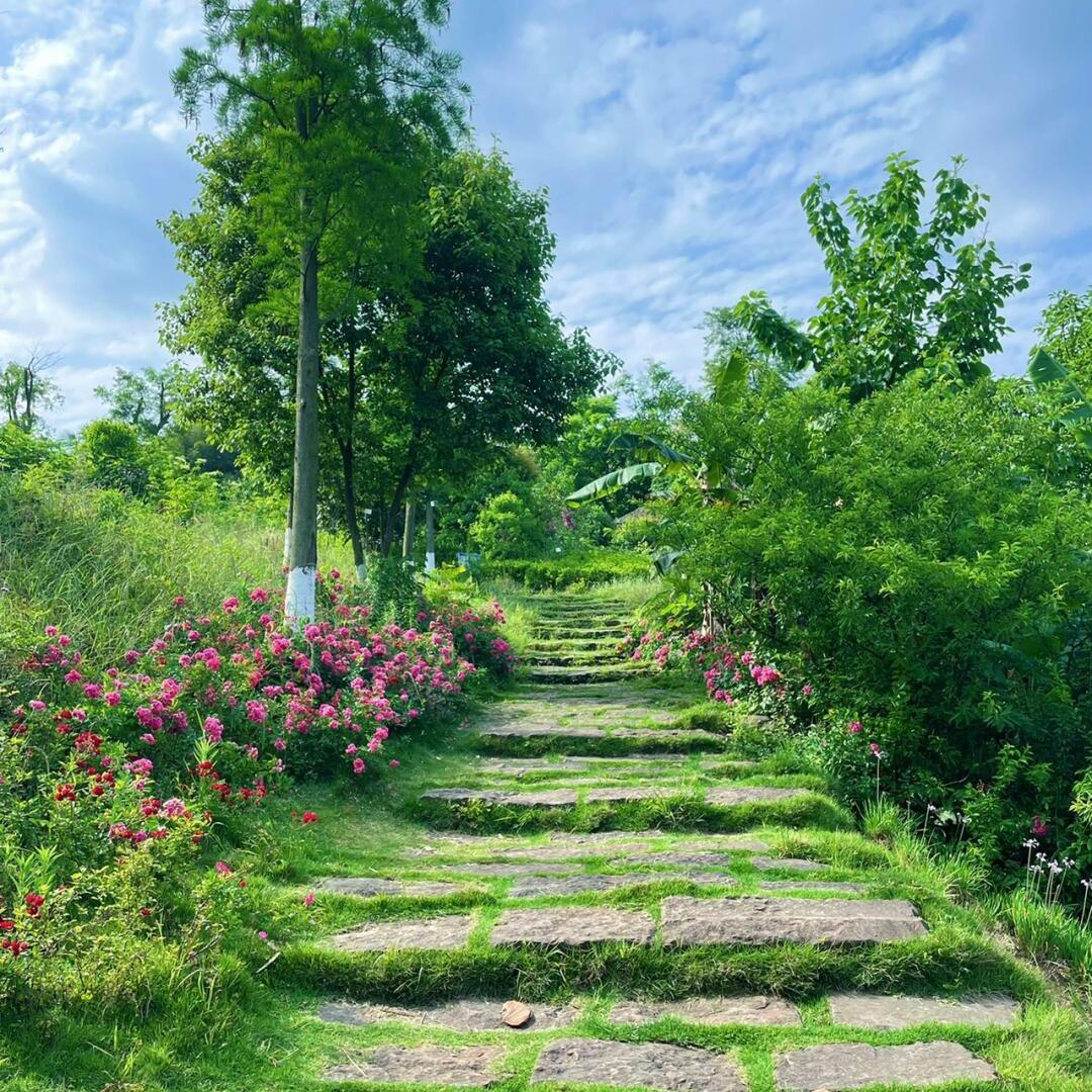 奶油小宝（助农版）