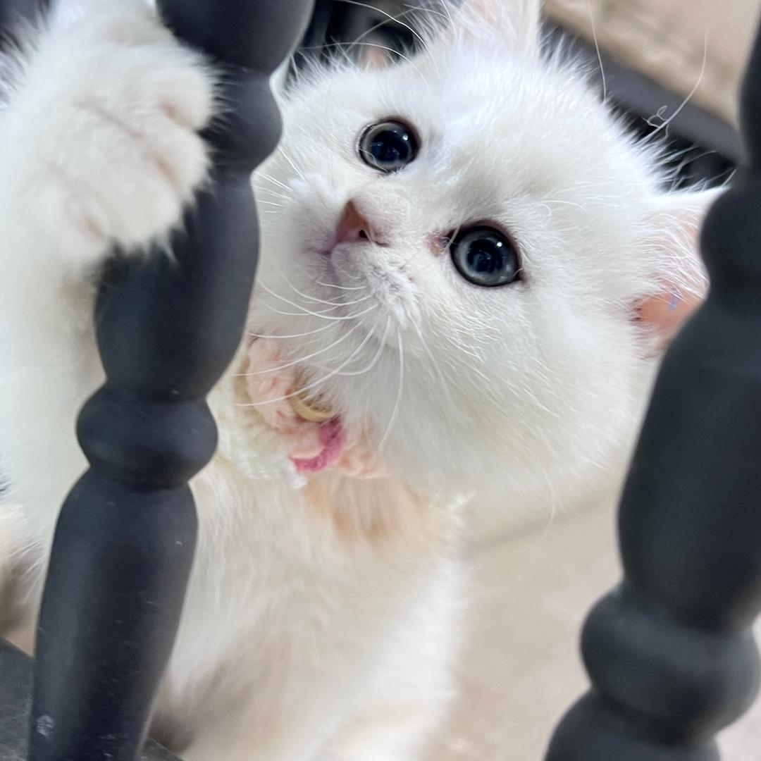 导航万商国际A塔16楼