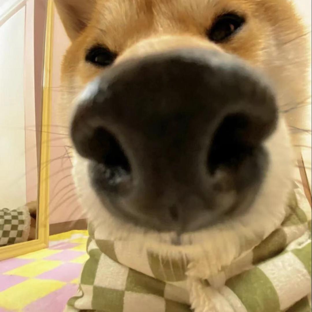 眷恋着