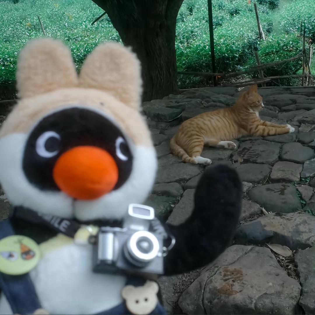 氮泵 （战备版）