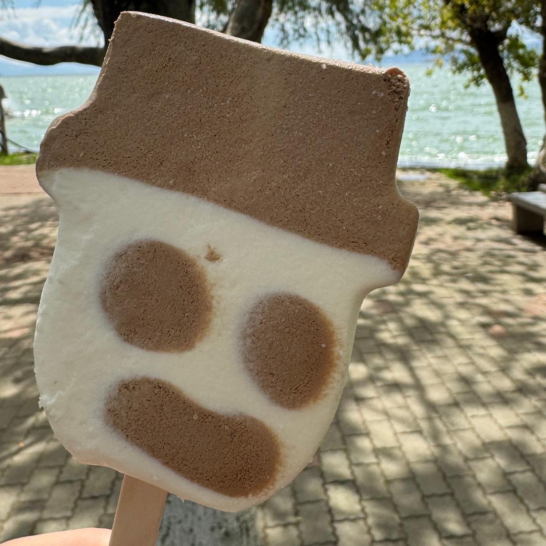 小灰灰在此