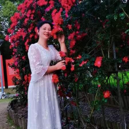 灵芝草