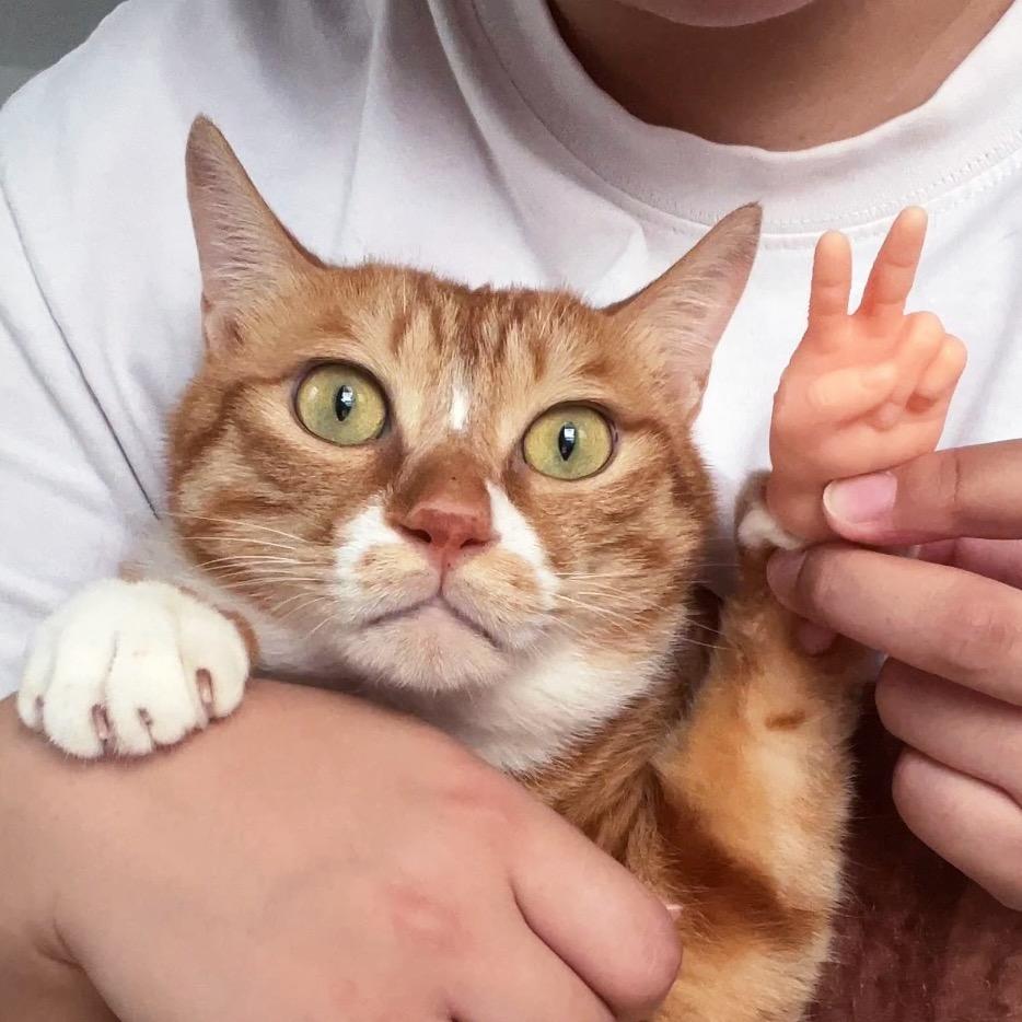 花生大王