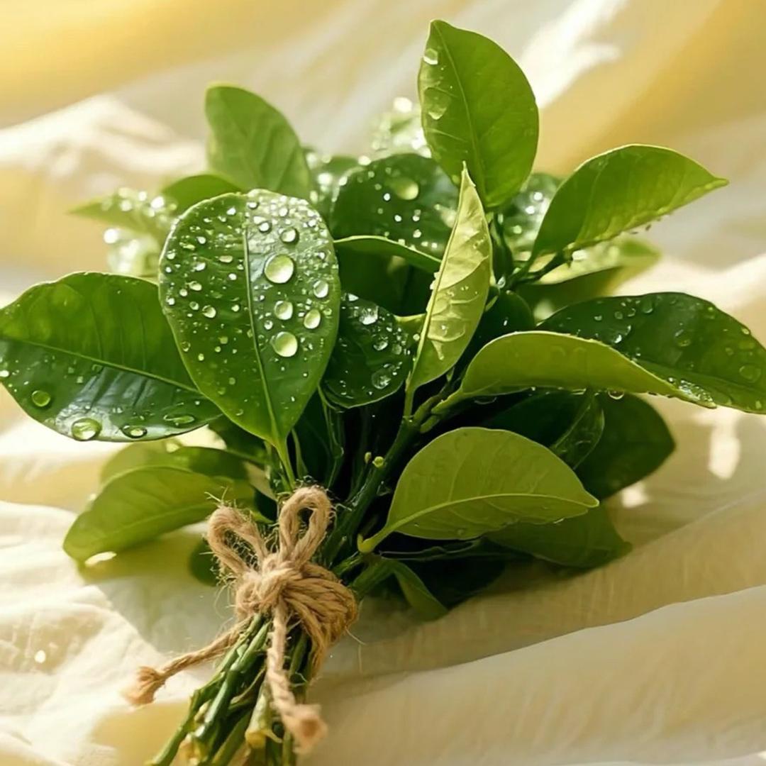 🌻沙小惦儿🍓🐠