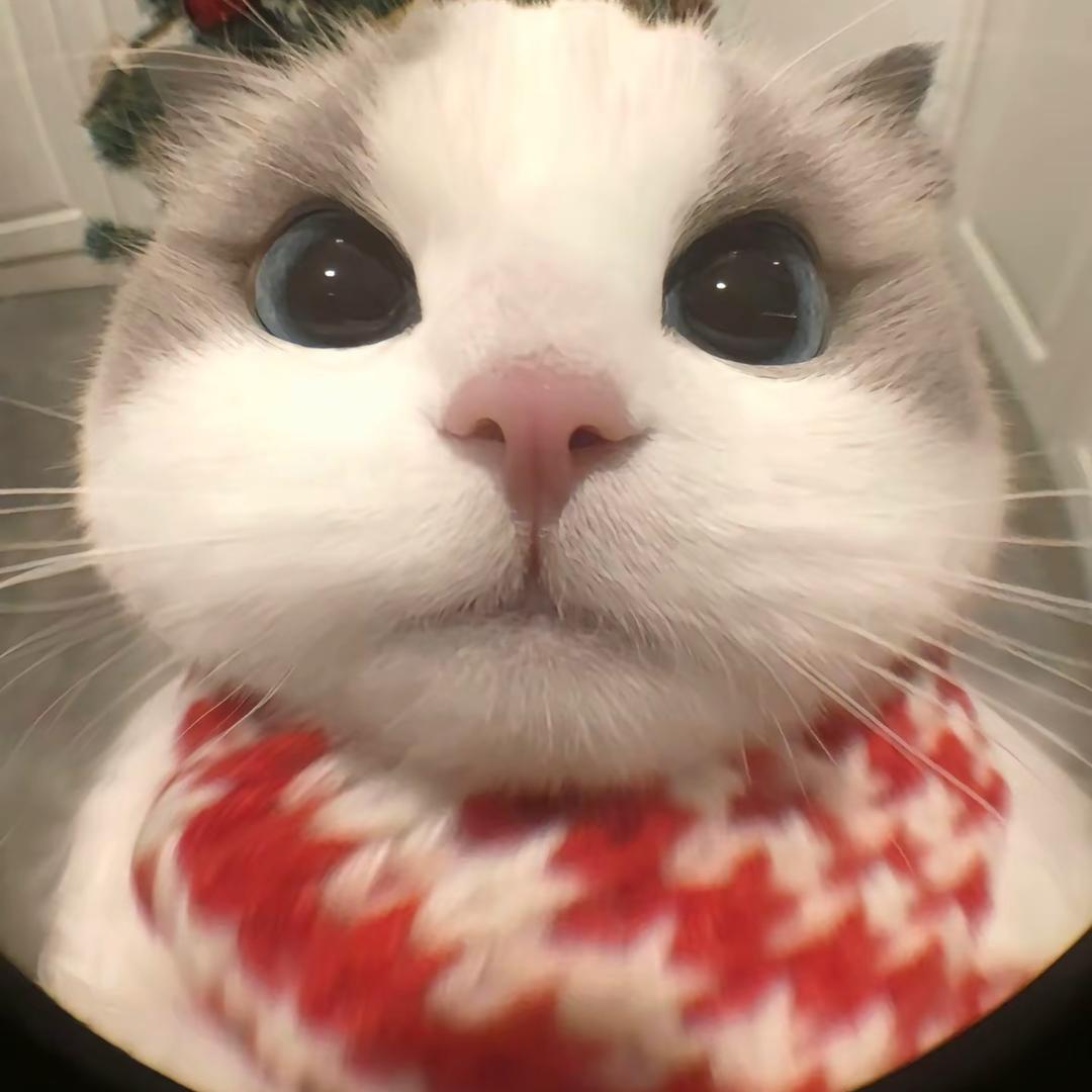 耶乎粘苞米