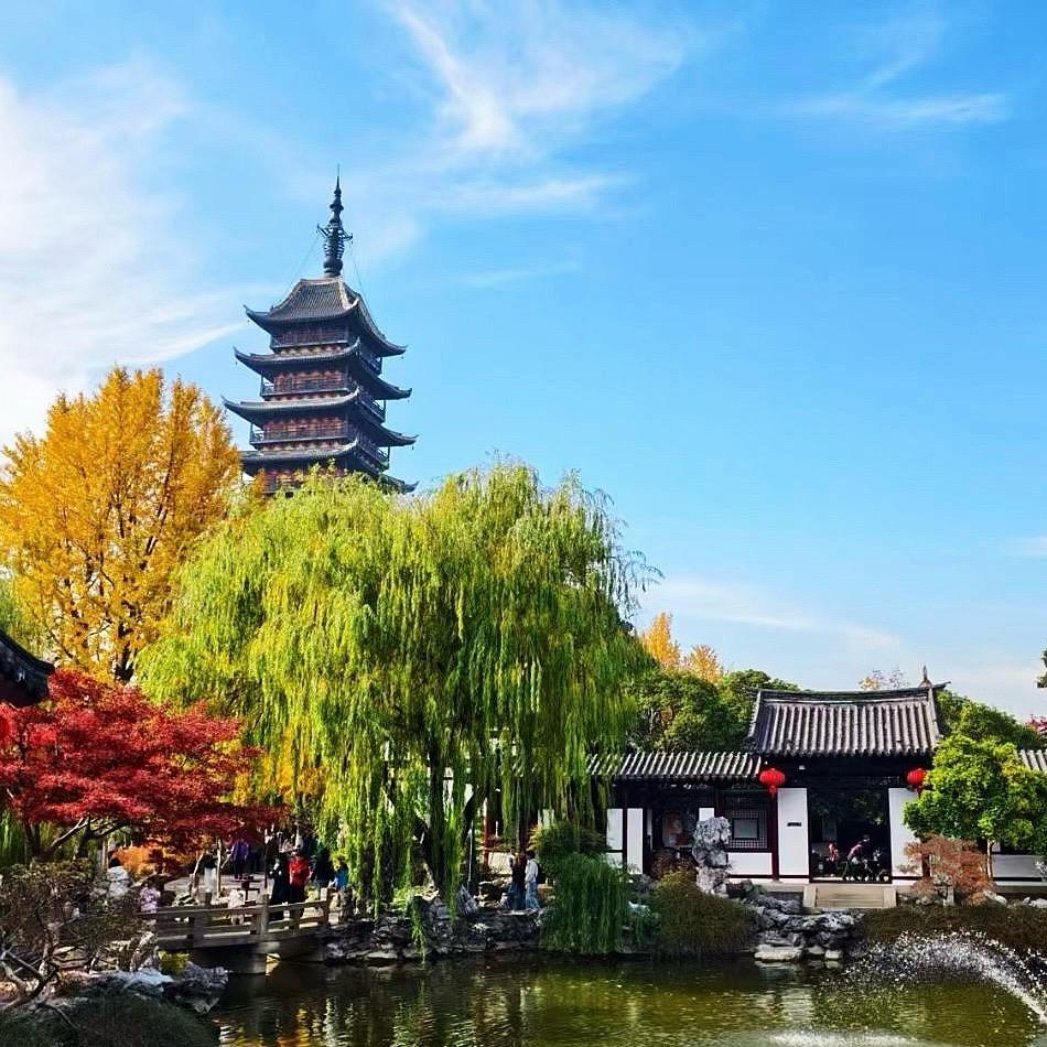 明月松间照 清泉石上流