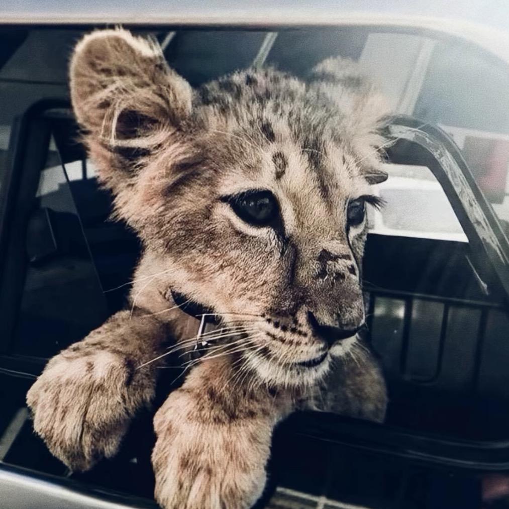 淇子🧚🏻‍♀️