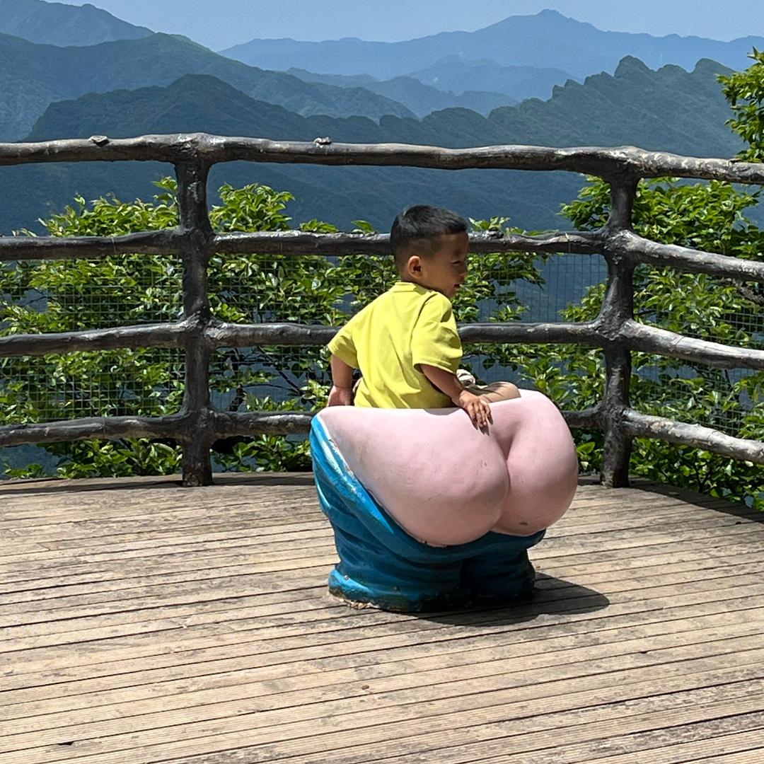 皮特儿