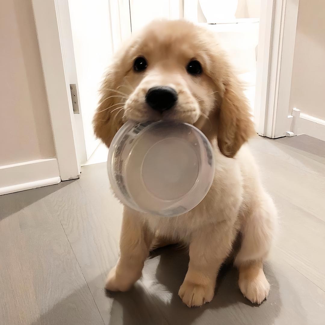 Josie_MeiMei