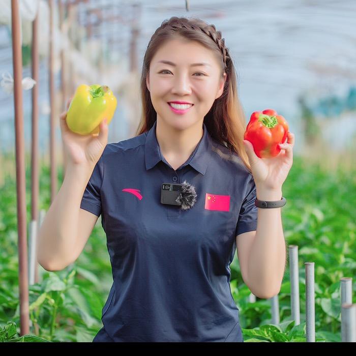 丽娜说家乡
