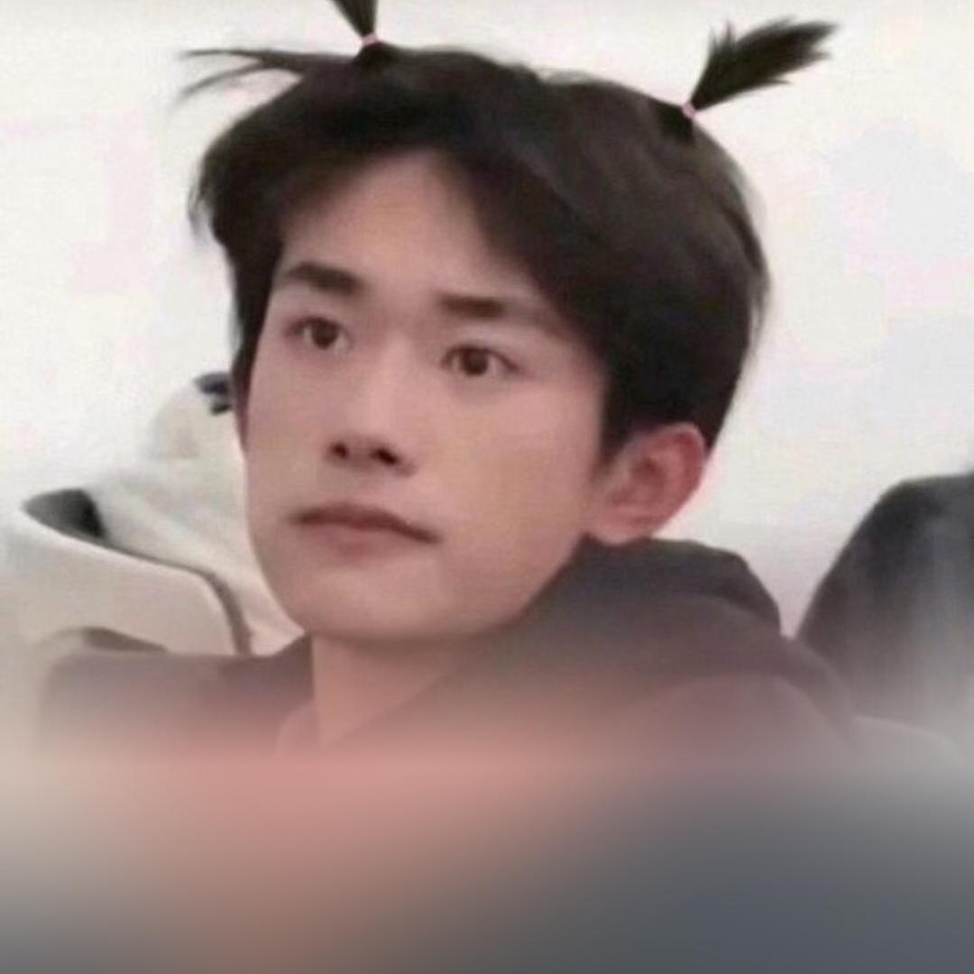 一只傻白羊