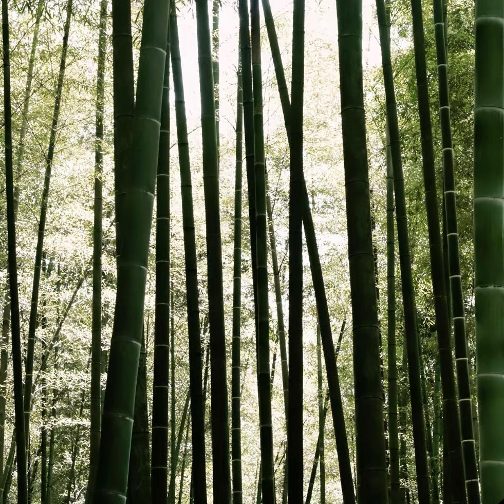 亮.