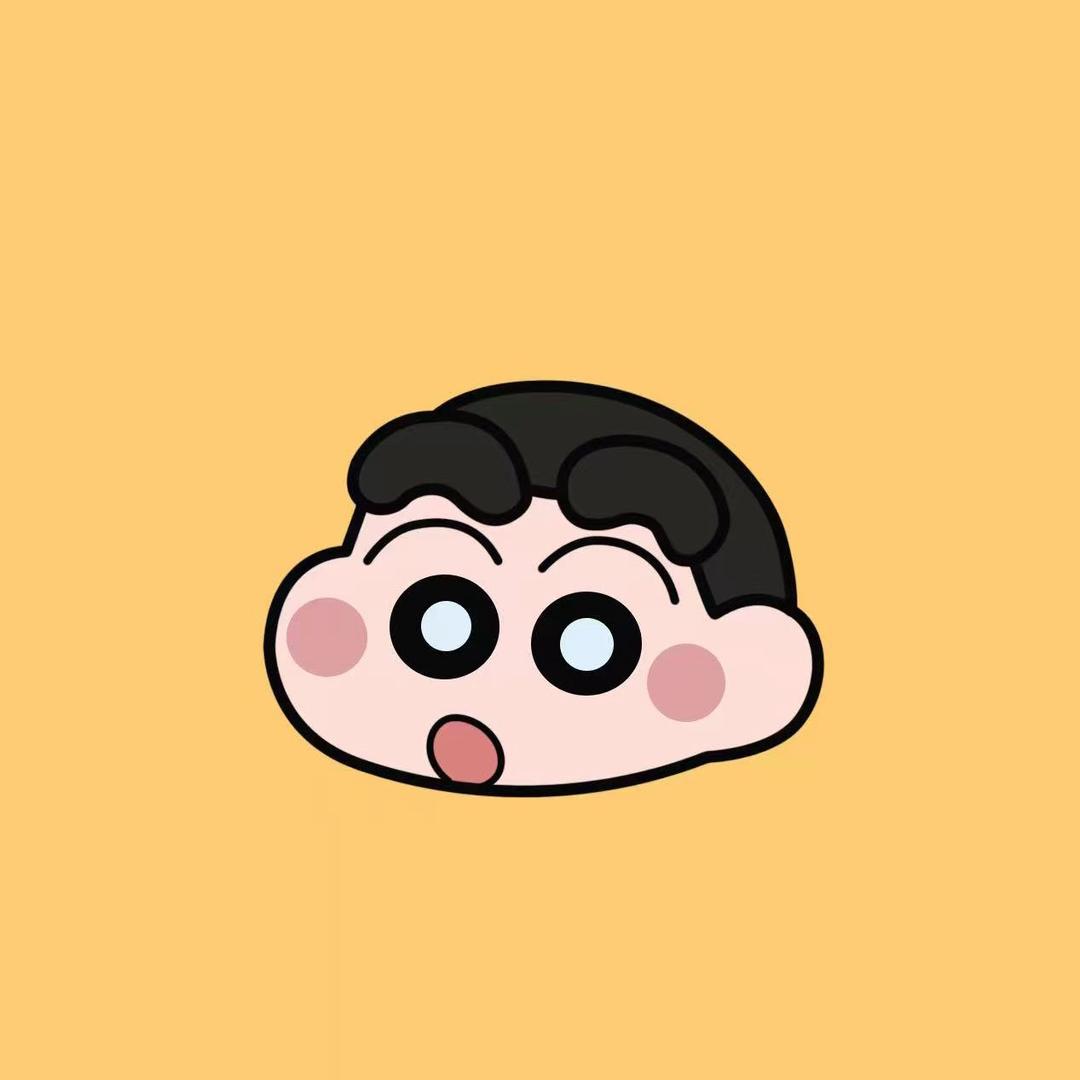 壳中壳R1