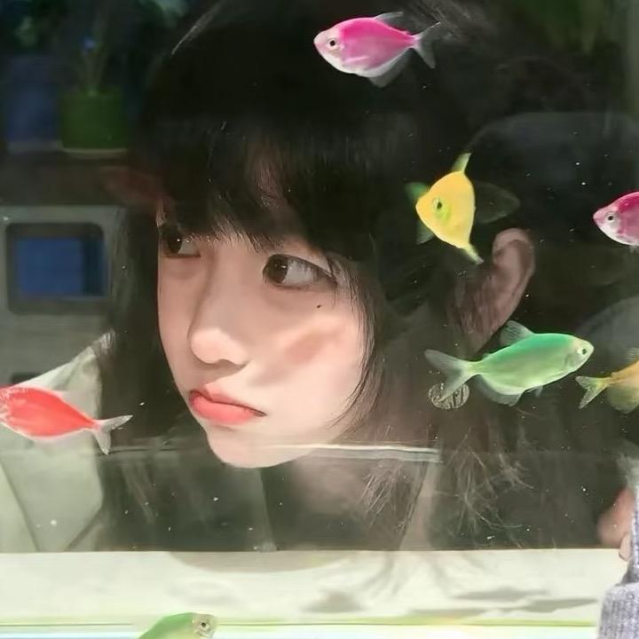 鱼头🐟