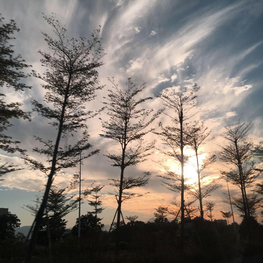 芥子纳空