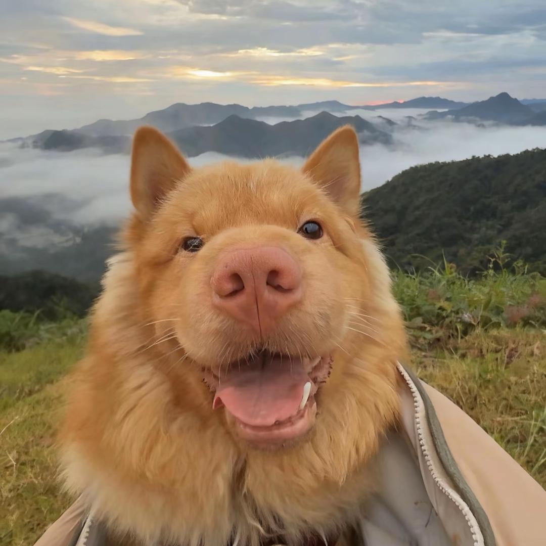 🌈殃及池鱼🎵