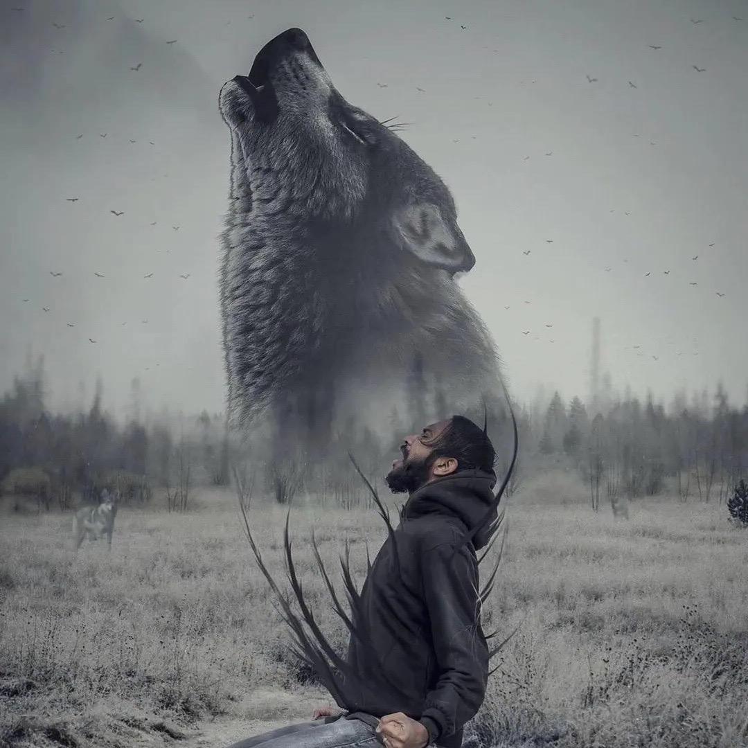 —————————涛