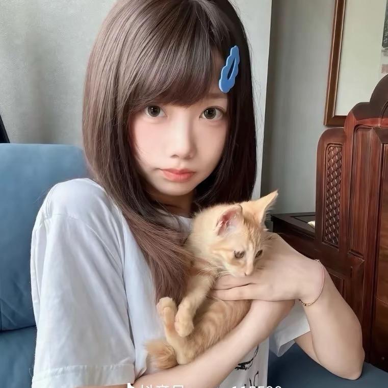 胖猫