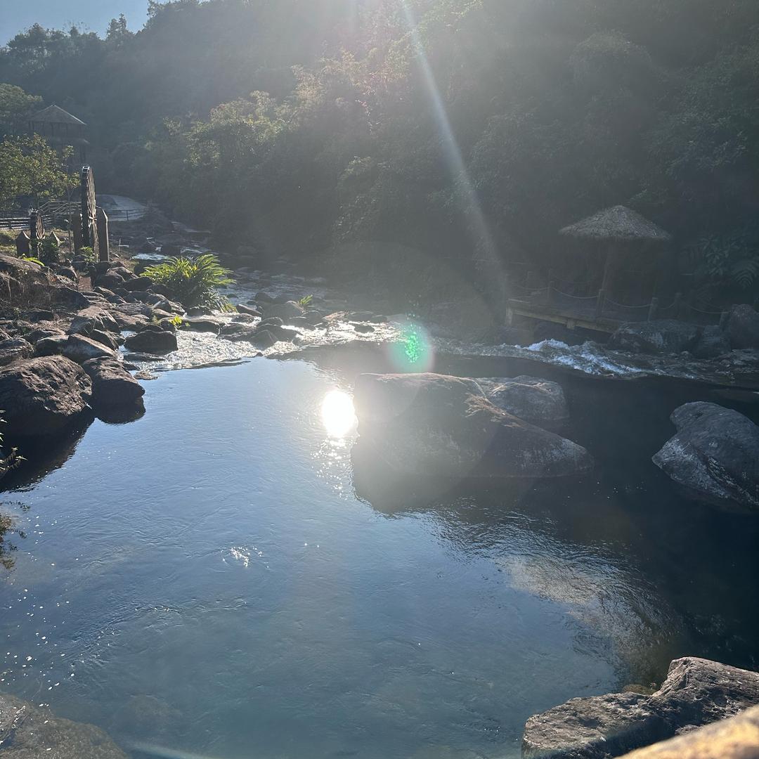 水火木🪵
