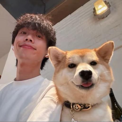 JOJO（三角洲行动）