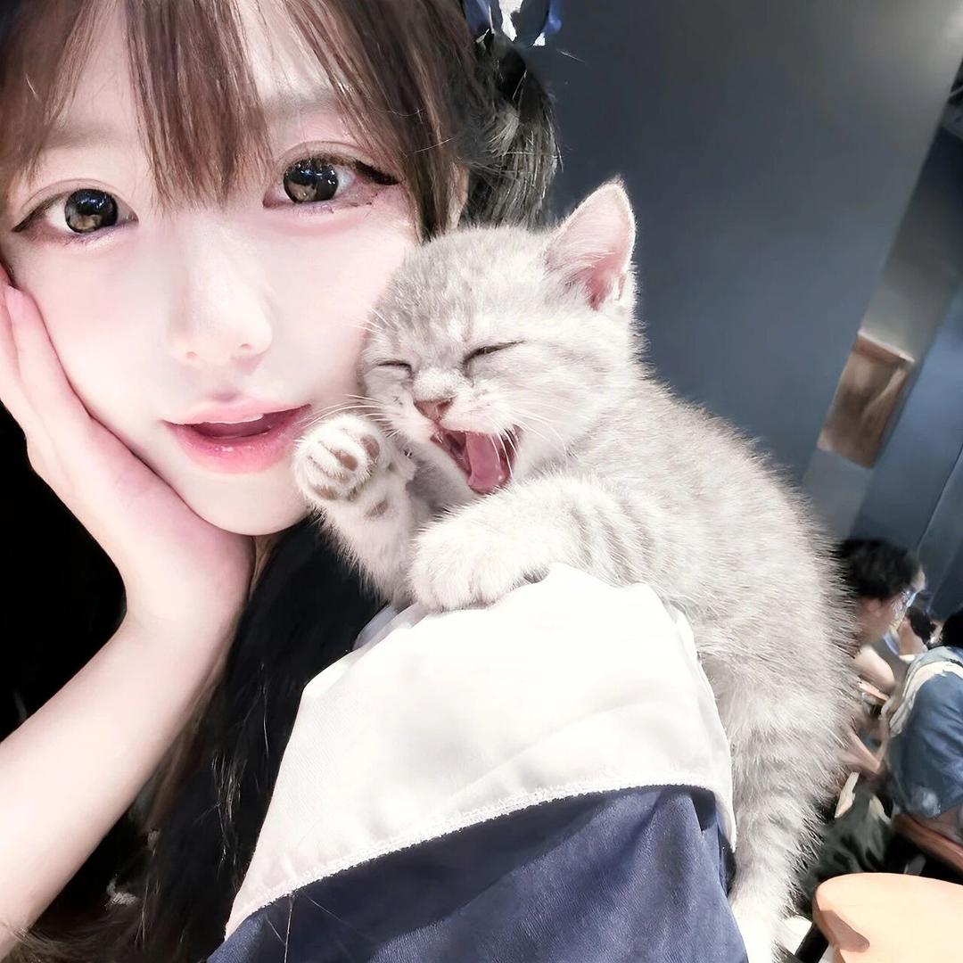cici