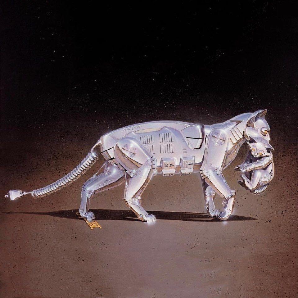 🛸