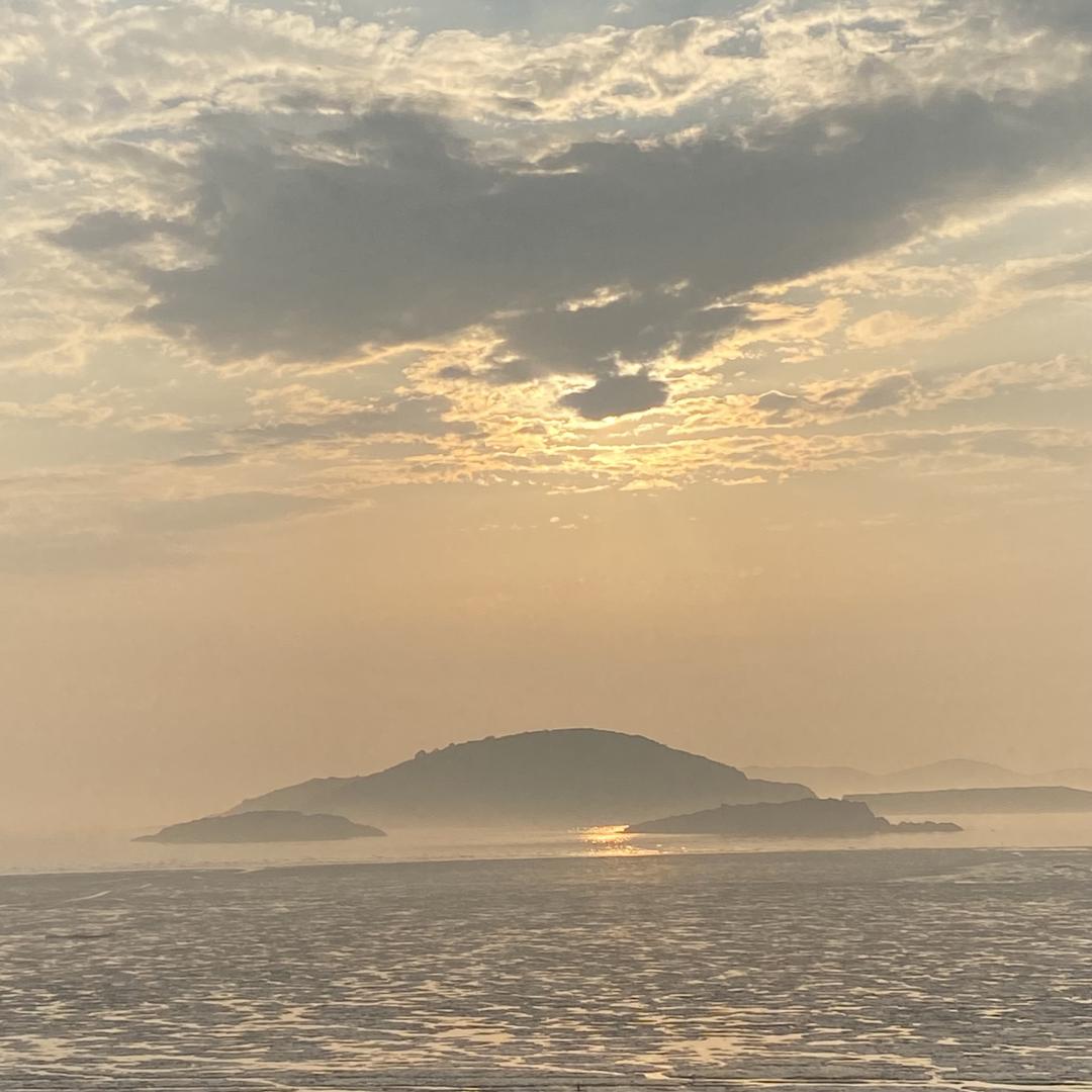 马泡有多香