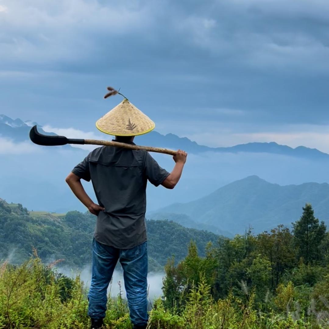 放牛班大当家