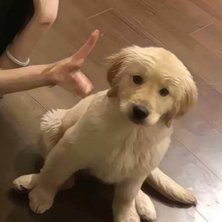 奇_