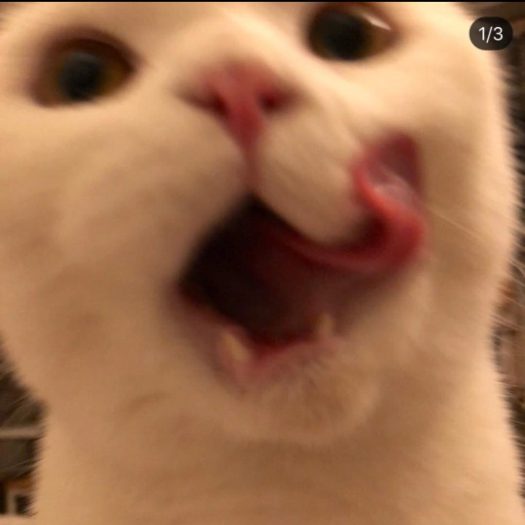 闪学妹