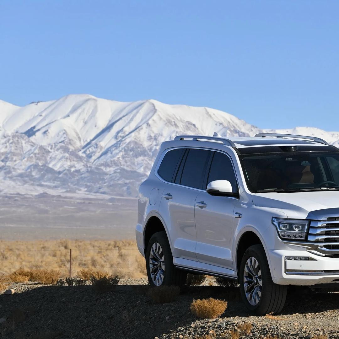 旗选🇳🇴模型