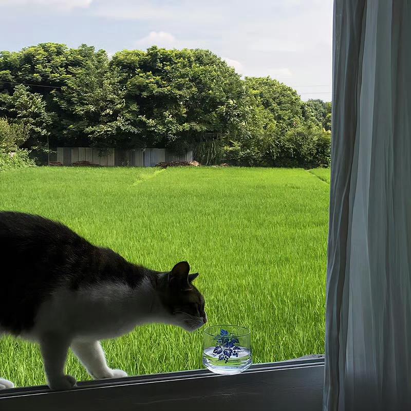 她们说人生