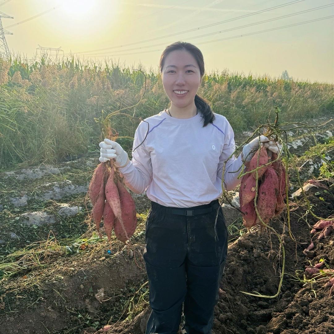 六六果蔬甄选（自产红薯）