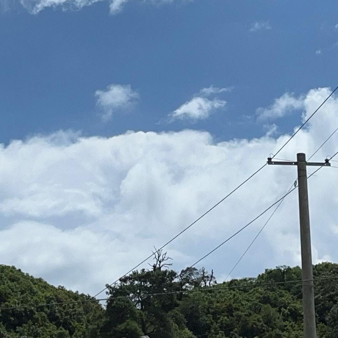 山货出村！