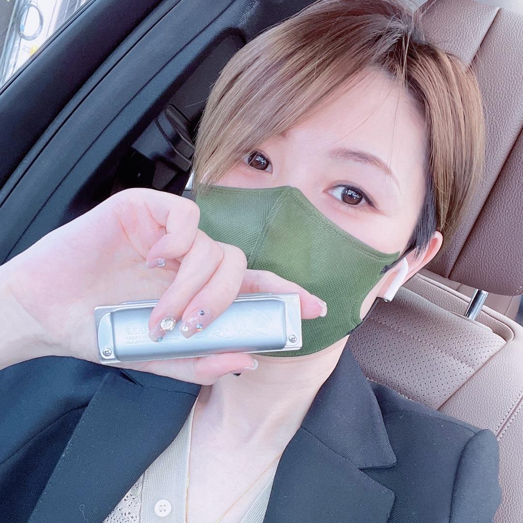 大鱼的口琴