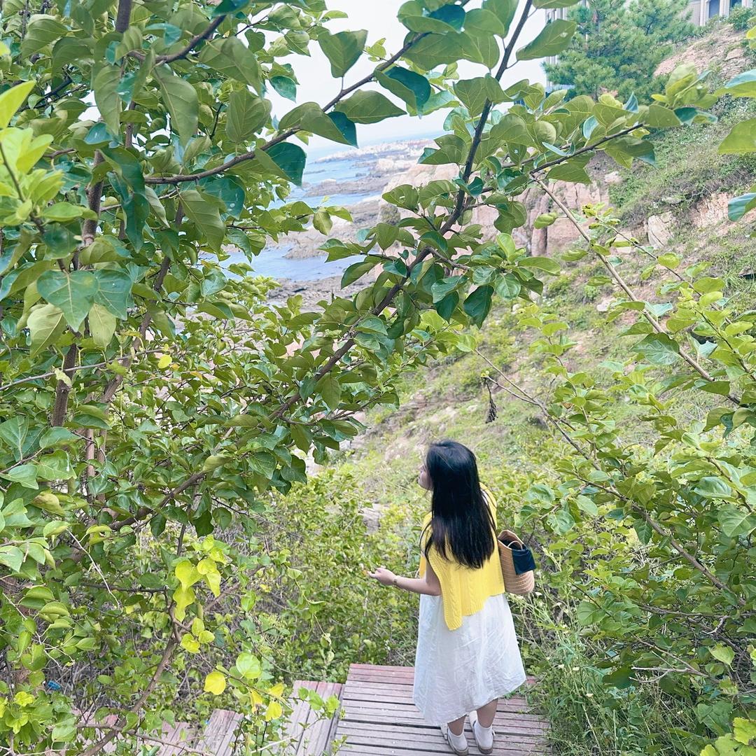 请叫我杨女士