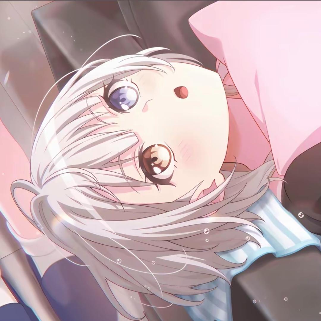 坏貓